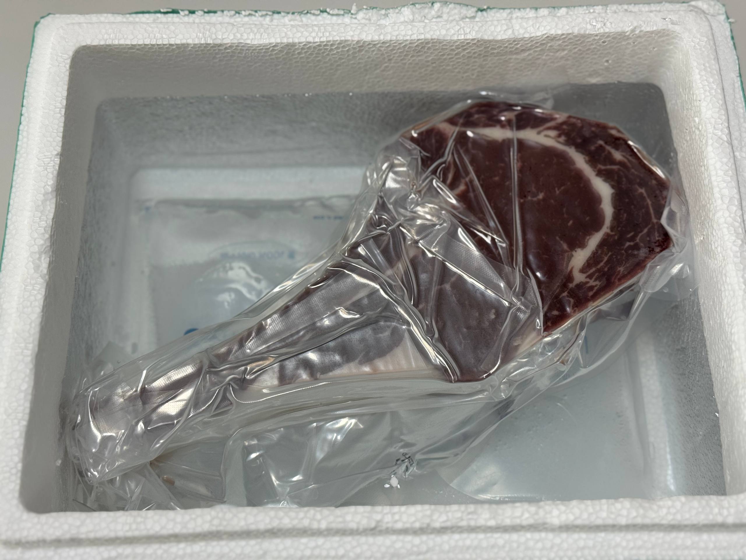 고기 크기 비교