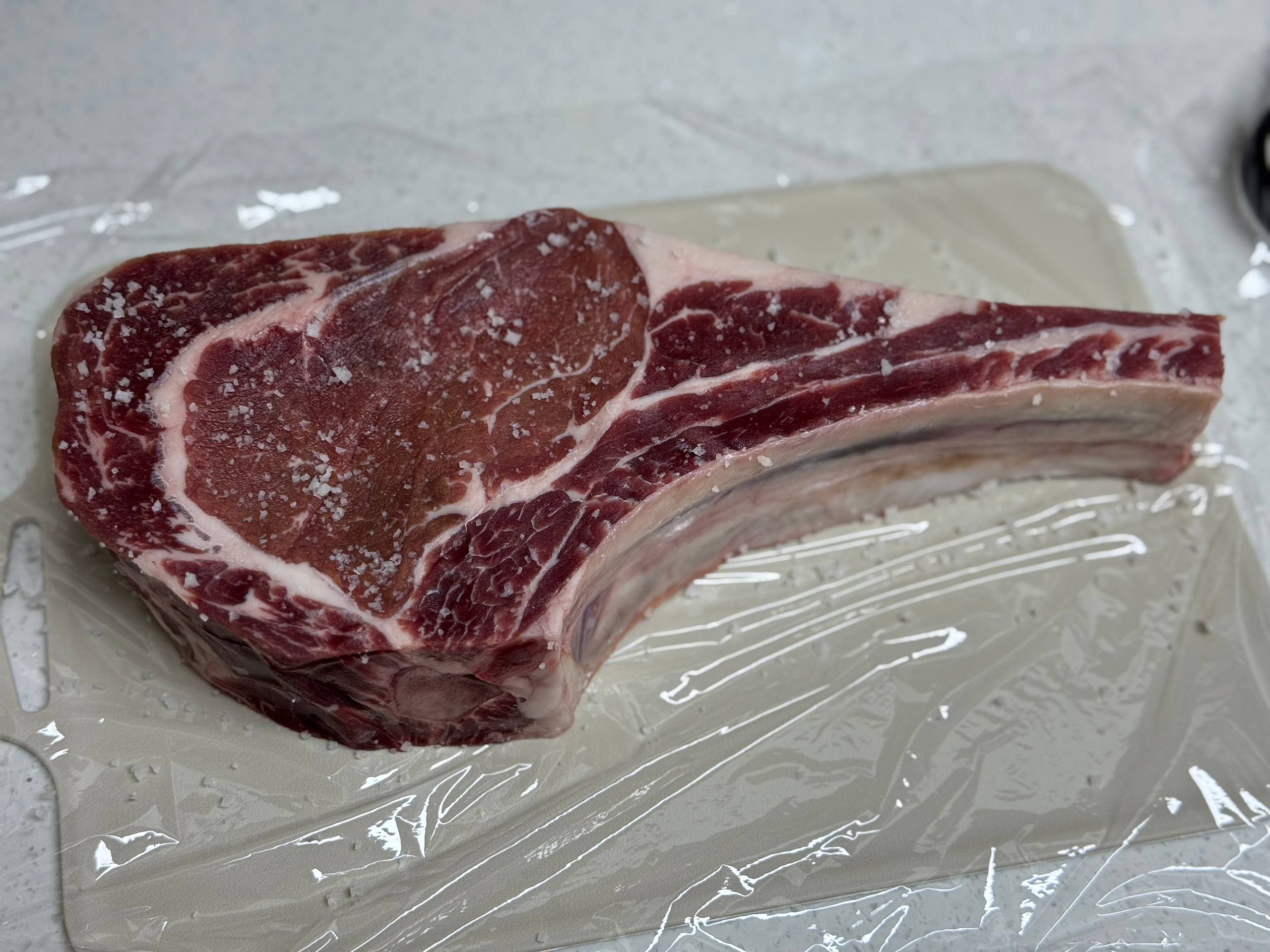 고기 크기 비교