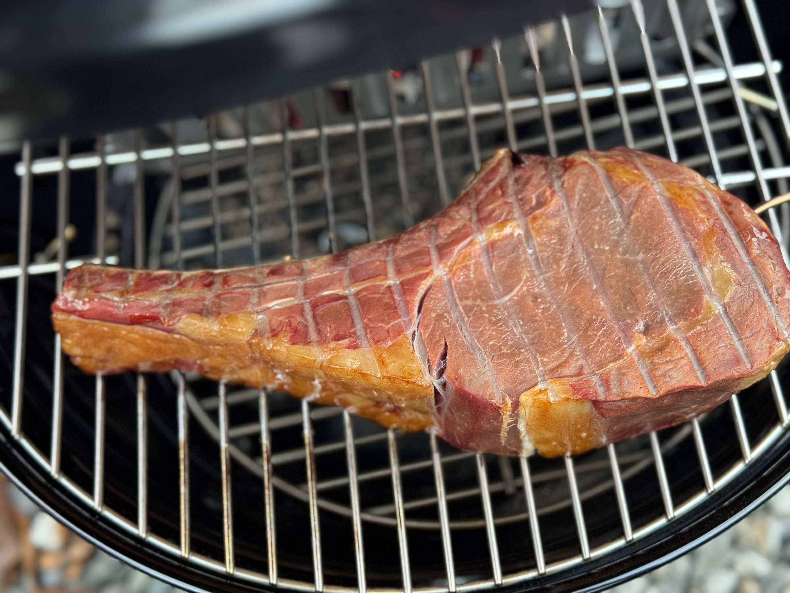 고기 크기 비교